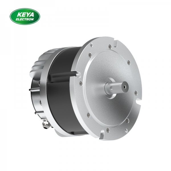 天行官方网站（China）在线/注册/登陆/官网215系列48V 4000W 1500RPM
